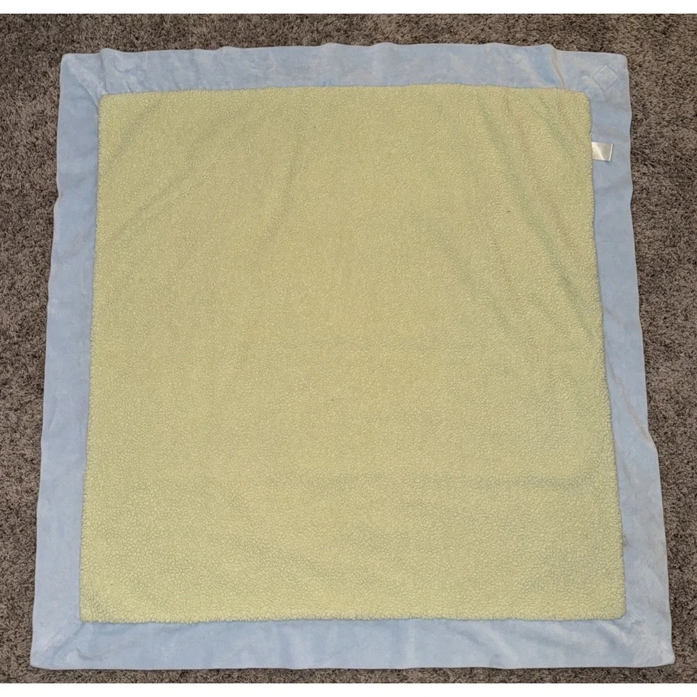 Bunnies by the Bay Frog‎ My Dreams Have Wings Green Baby Blanket Security 36x36